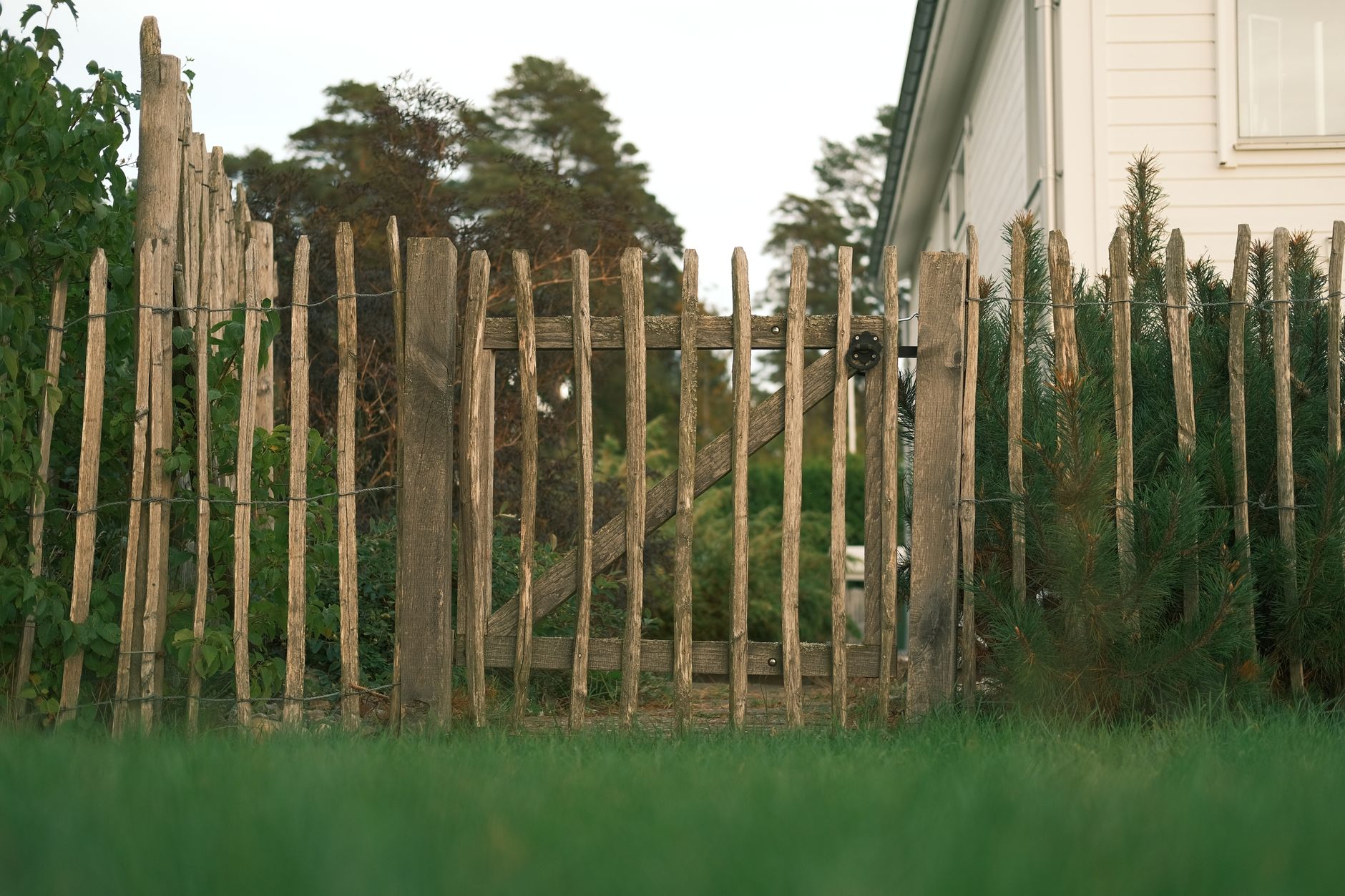Fence Repair – Selma